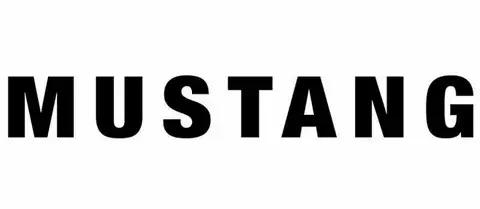 Mustang Erkek Güneş Gözlüğü