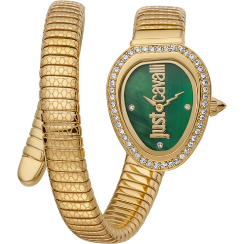 Just Cavalli JC1L167M0025 Kadın Kol Saati