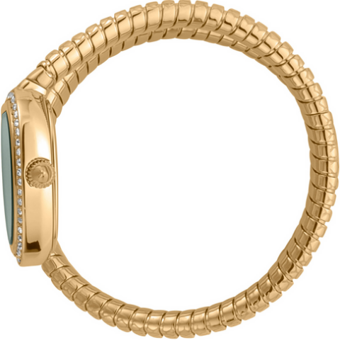 Just Cavalli JC1L167M0025 Kadın Kol Saati