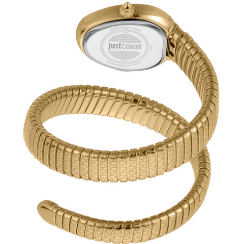 Just Cavalli JC1L167M0025 Kadın Kol Saati