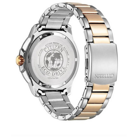 Citizen AW1524-84E Erkek Kol Saati