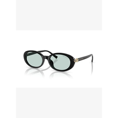 Tiffany & Co. T F 4242D 8001D9 54-19 Kadın Güneş Gözlüğü