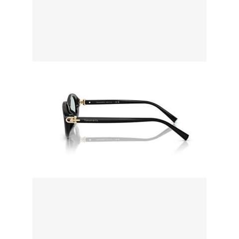 Tiffany & Co. T F 4242D 8001D9 54-19 Kadın Güneş Gözlüğü