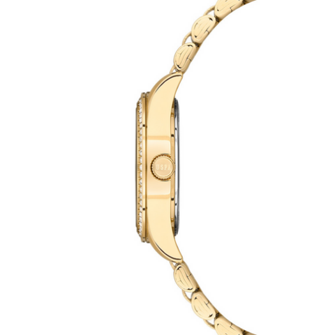 U.S. Polo Assn. USPA2085-05 Kadın Kol Saati