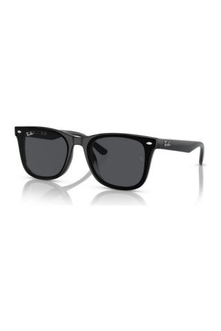 Ray-Ban RB 4420 601/87 65-18 Unisex Güneş Gözlüğü
