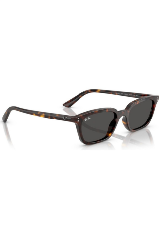 Ray-Ban RB 4456 135987 53-19 Kadın Güneş Gözlüğü