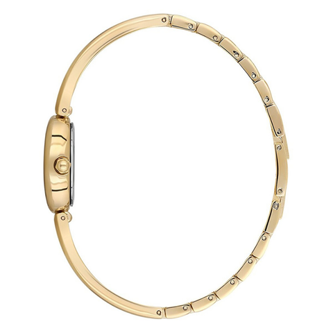 Essence D1227.120 Kadın Kol Saati