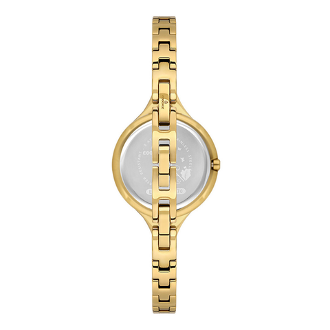 Essence D1234.130 Kadın Kol Saati