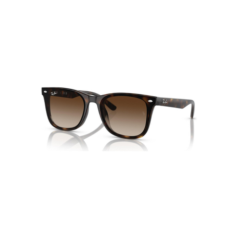 Ray-Ban RB 4420 710/13 65-18 Unisex Güneş Gözlüğü