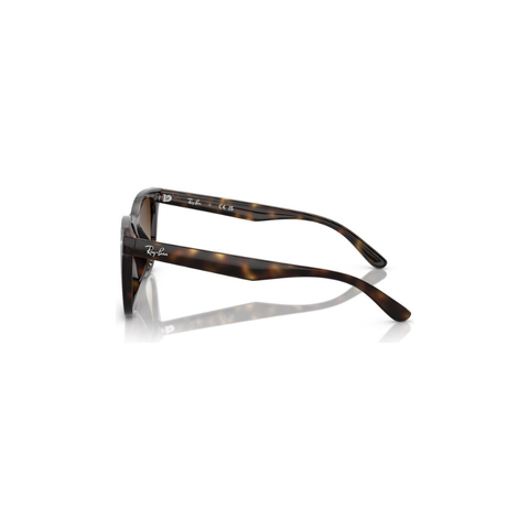 Ray-Ban RB 4420 710/13 65-18 Unisex Güneş Gözlüğü