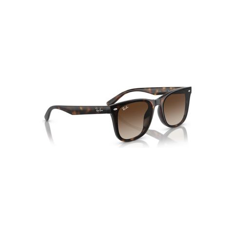Ray-Ban RB 4420 710/13 65-18 Unisex Güneş Gözlüğü