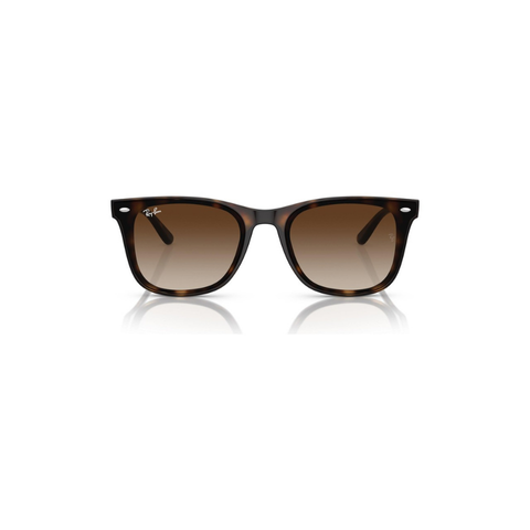 Ray-Ban RB 4420 710/13 65-18 Unisex Güneş Gözlüğü