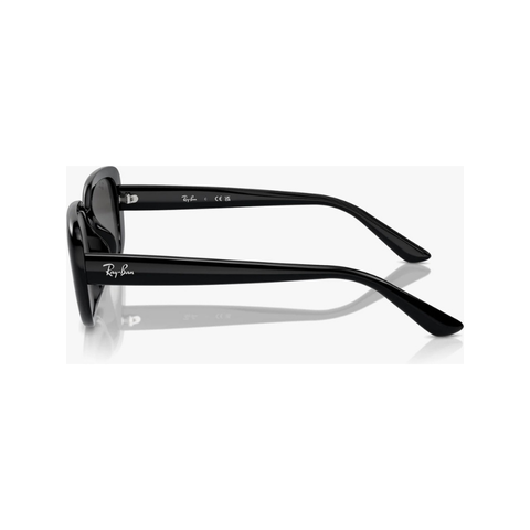 Ray-Ban RB 4421D 667787 56-18 Kadın Güneş Gözlüğü