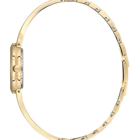 Essence D1228.120 Kadın Kol Saati