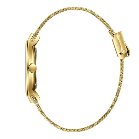 Slazenger SL.09.2587.3.170 Kadın Kol Saati